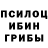 Галлюциногенные грибы Psilocybine cubensis Valeriy Rudakov